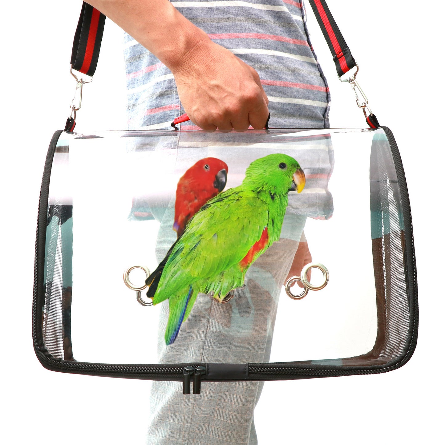 PVC Transparent Bird Cage 1