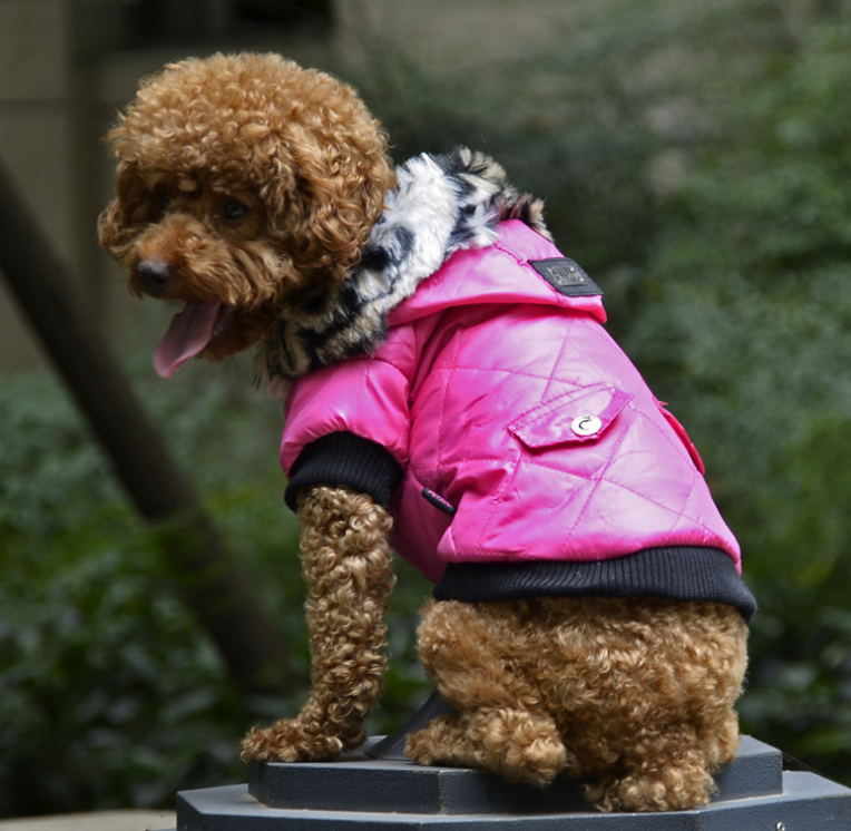 Cross-border pet supplies pet clothes dog clothes autumn and winter fur collar coat pet dog clothing - iHawk 