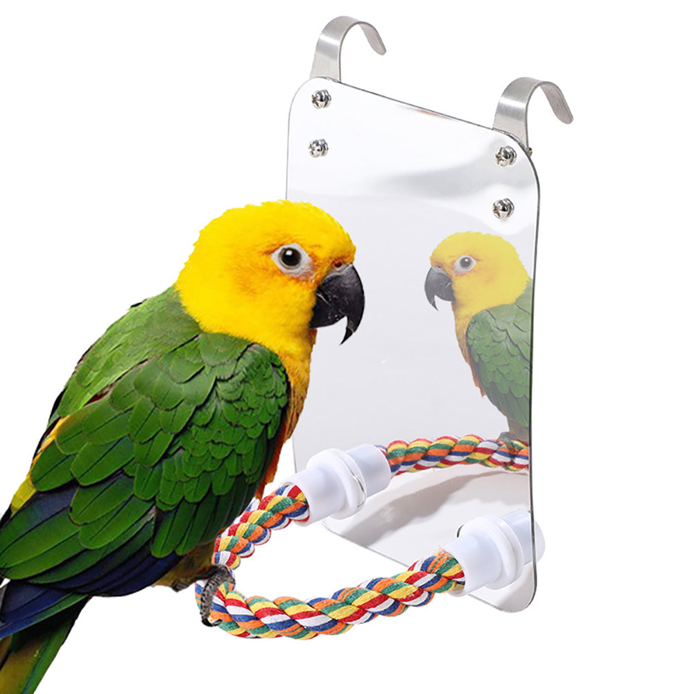 Parrot Toy Acrylic Bird With Mirror 1