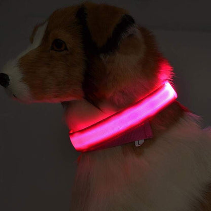 Nylon LED Pet Dog Luminous Collar Night Safety Flashing Glow in Dark Dog Cat Leash Adjustable Pet Supplies ihawk.store