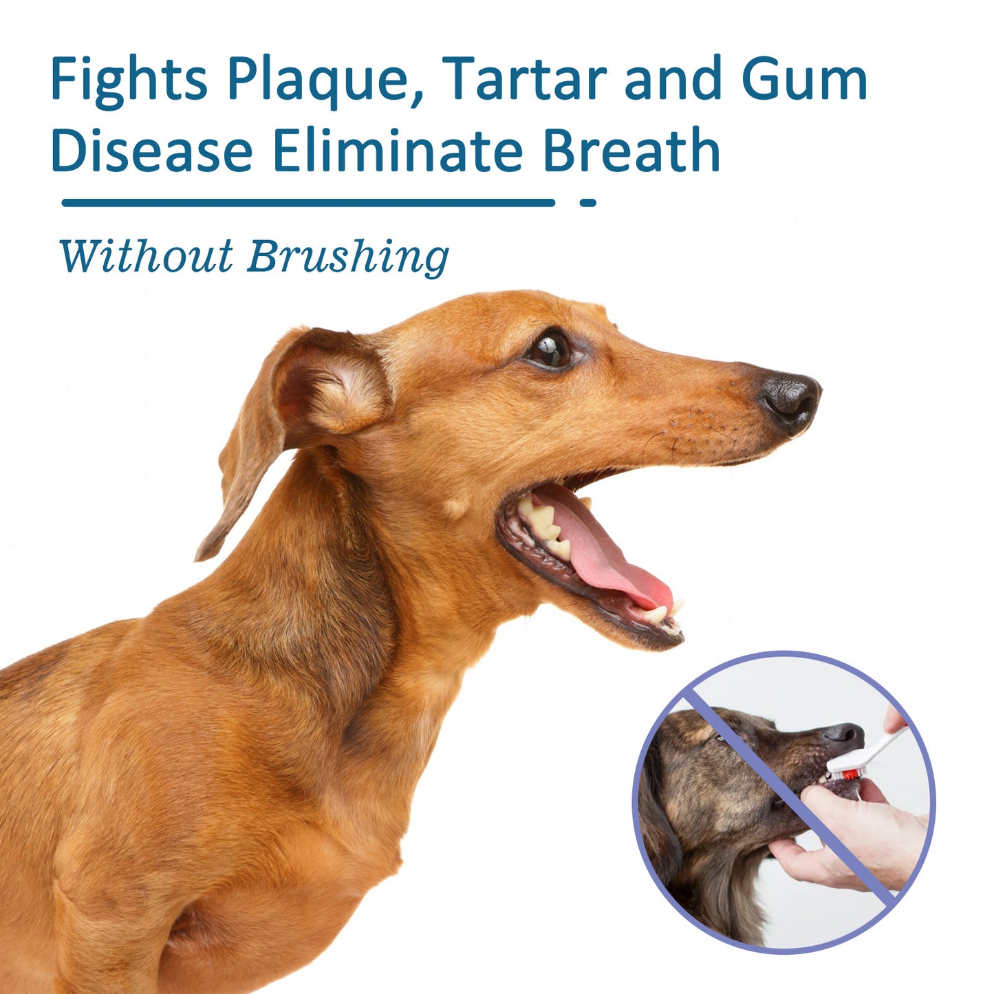 Pet Oral Cleaning Spray Remove Tartar And Bad Breath - iHawk 