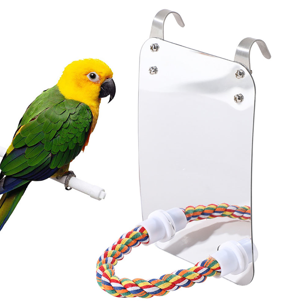 Parrot Toy Acrylic Bird With Mirror 1