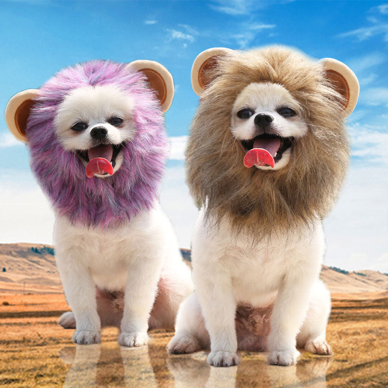 Funny Pet Hat For Small Dogs Cats Hat Emulation Lion Hair Mane Ears Head Cap Scarf Pet Halloween Festival Costume 1