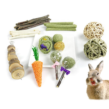 Rabbit Pet Tooth Cleaning Toy Pet Chew Stick 1
